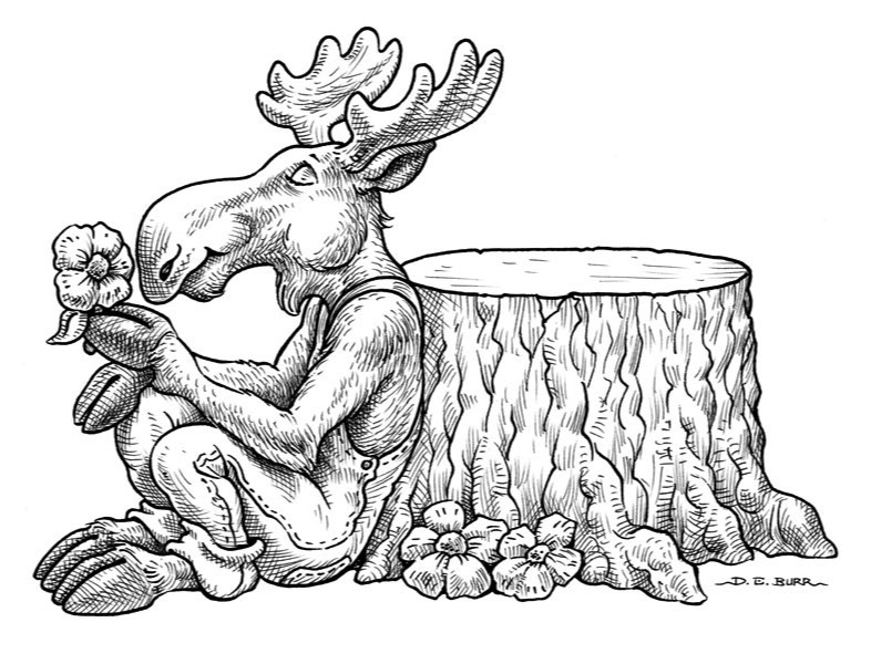 moose sniffing a flower childrens line art illustration